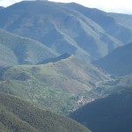 viniegra de abajo